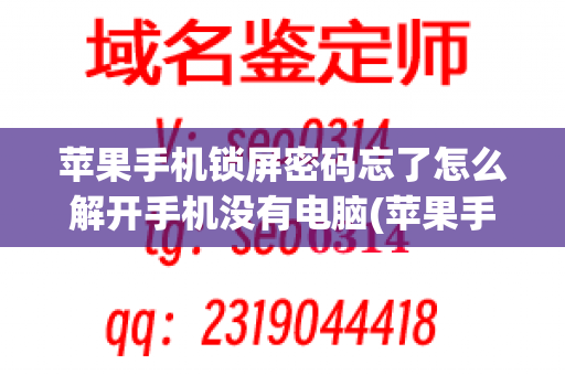 苹果手机锁屏密码忘了怎么解开手机没有电脑(苹果手机密码忘了怎么办_屏幕锁)