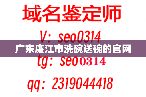 广东廉江市洗碗送碗的官网