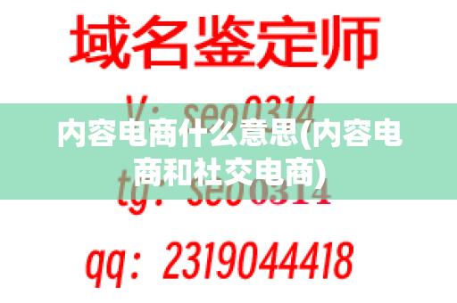 内容电商什么意思(内容电商和社交电商)