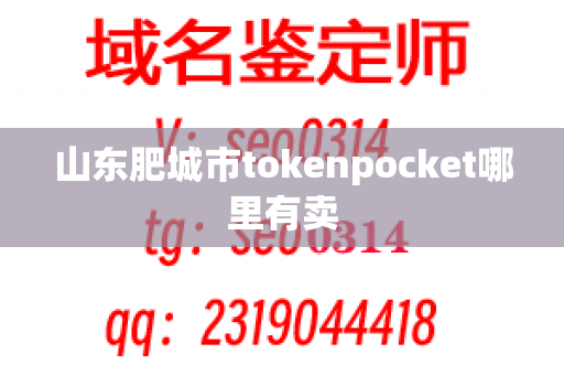 山东肥城市tokenpocket哪里有卖