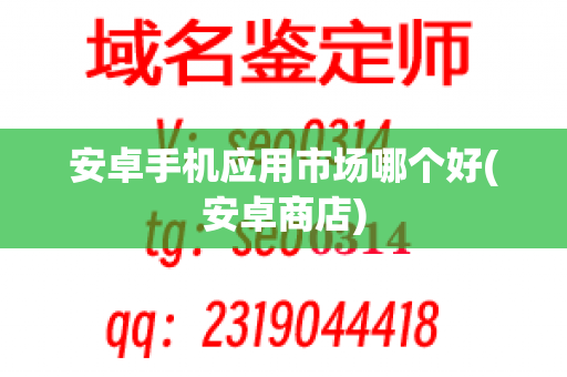 安卓手机应用市场哪个好(安卓商店)