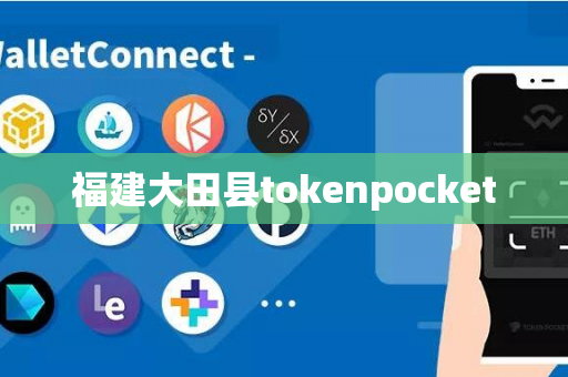 福建大田县tokenpocket