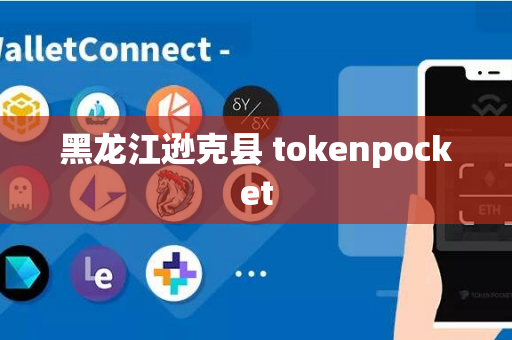 黑龙江逊克县 tokenpocket