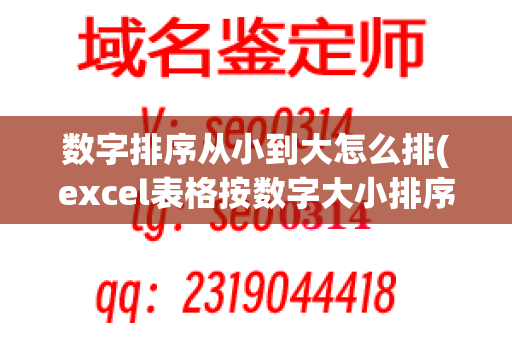 数字排序从小到大怎么排(excel表格按数字大小排序)