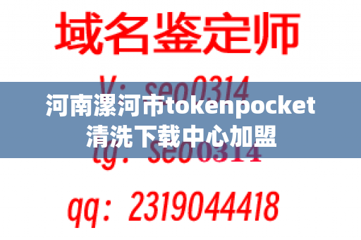 河南漯河市tokenpocket清洗下载中心加盟