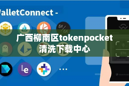 广西柳南区tokenpocket清洗下载中心