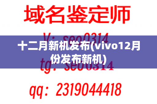 十二月新机发布(vivo12月份发布新机)