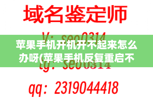 苹果手机开机开不起来怎么办呀(苹果手机反复重启不能开机)