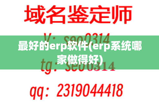 最好的erp软件(erp系统哪家做得好)