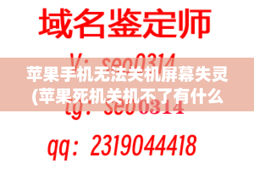 苹果手机无法关机屏幕失灵(苹果死机关机不了有什么办法)