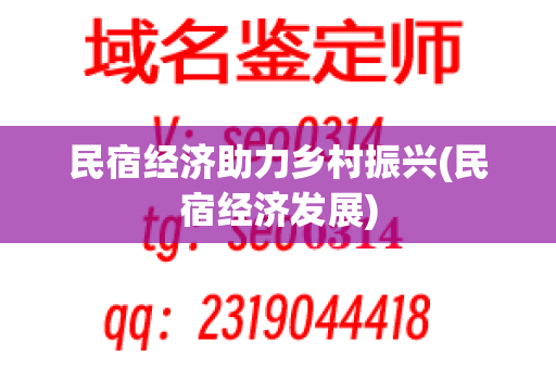 民宿经济助力乡村振兴(民宿经济发展)