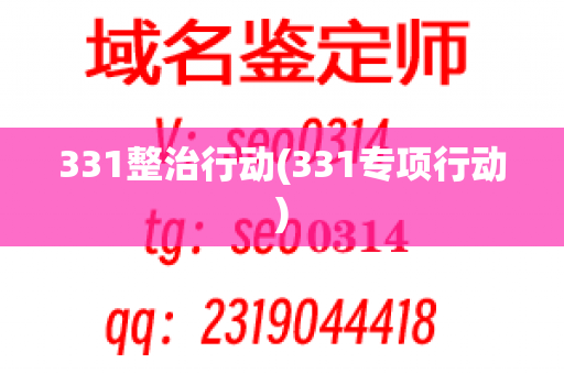 331整治行动(331专项行动)