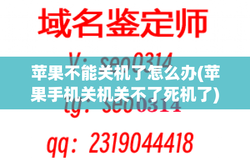 苹果不能关机了怎么办(苹果手机关机关不了死机了)