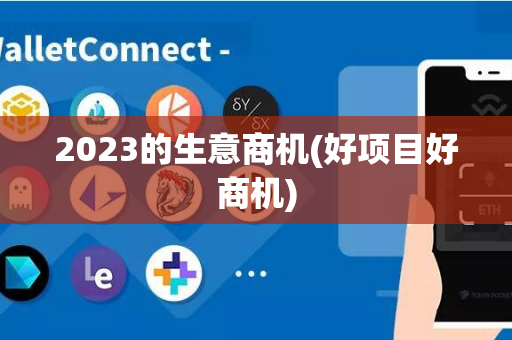 2023的生意商机(好项目好商机)