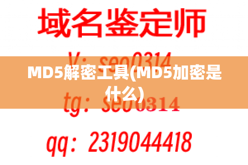 MD5解密工具(MD5加密是什么)