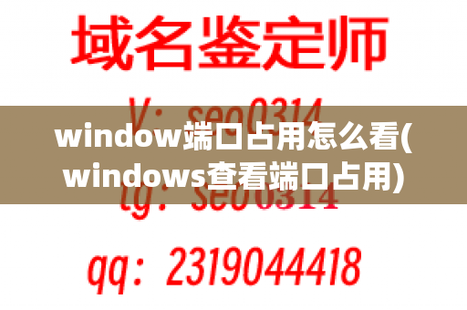 window端口占用怎么看(windows查看端口占用)