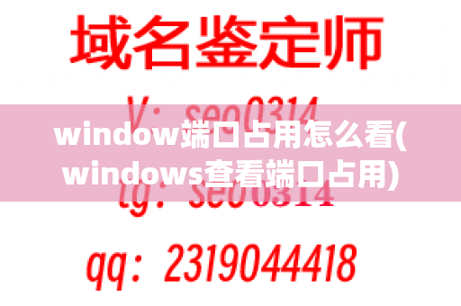 window端口占用怎么看(windows查看端口占用)