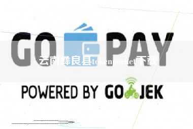 云南彝良县tokenpocket下载