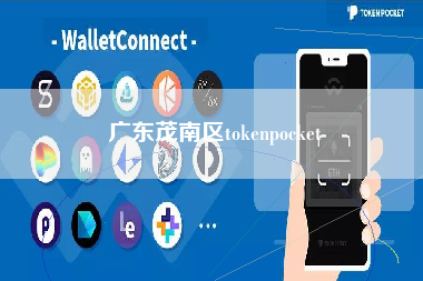 广东茂南区tokenpocket