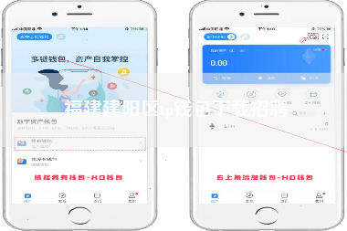 福建建阳区tp钱包下载招聘