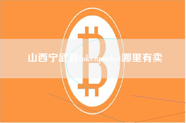 山西宁武县tokenpocket哪里有卖