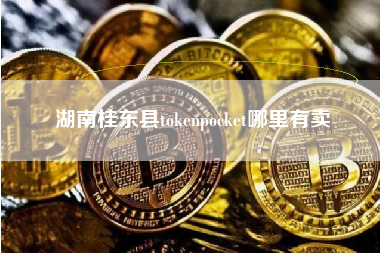 湖南桂东县tokenpocket哪里有卖